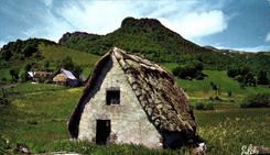 CPM Auvergne Pittoresque et Touristique Un vieux Buron dans la montagne