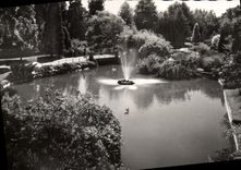 CPM Vichy Bassin des Eygnes Dans les Grandes Parcs