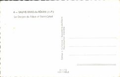 CPM Sauveterre de Bearn Le Donjon de Febus et Saint Cybol
