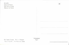 POSTAL MODERNA Pompeya puso a del Fauno