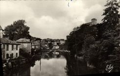 CPM Lourdes Le Gave De Lourdes Et Le Chateau Fort