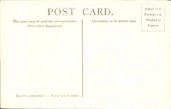 VINTAGE POSTCARD Landseer Dignity And Impudence National Gallery London Choens Dog