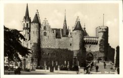 Het Steen de Antwerpen de la POSTAL de la VENDIMIA