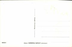 VINTAGE POSTCARD Stockholm Motiv Fran Stussen