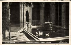 VINTAGE POSTCARD Barcelona Catedral Fuente there Ocas