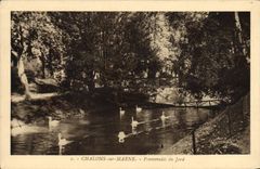 VINTAGE POSTCARD Trawl-nets On the Marne Walks Of Jard Swans