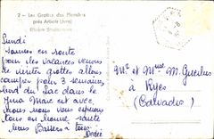 MODERN CARD Vue Circus Of the Horseshoe