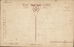 VINTAGE POSTCARD Costa Flower of the desert