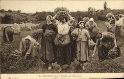 VINTAGE POSTCARD Breton the Recall Of Glaneuses Museum of Luxembourg Paris