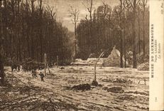 VINTAGE POSTCARD Museum of Luxembourg Pierre Lagarde the retirement