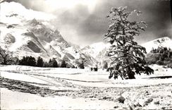 MODERN CARD the Mount Gilds Sancy