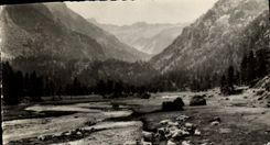 MODERN CARD Cauterets Pasture in the Valley of Marcadau Cows