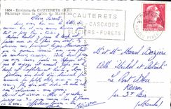 MODERN CARD Cauterets Pasture in the Valley of Marcadau Cows