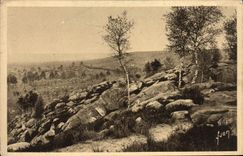 VINTAGE POSTCARD Fontainebleau the Drill Descrt d' Apremont