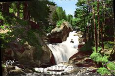 CPM Cauterets Cascade du Cerisey sur la route du pont d'Espagne