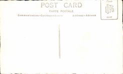 VINTAGE POSTCARD Cannes Tree