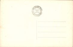 VINTAGE POSTCARD Palate De Fontainebleau the Lady With the Dogs