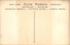 VINTAGE POSTCARD Emile Adam the Girl Of the Frontier runner