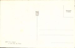 VINTAGE POSTCARD Geron Plne Fights Of Cocks