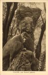 CPA Faune Par Darde