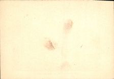 MODERN CARD Rochechouart Castle