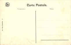 VINTAGE POSTCARD Houx the Ruins De Polivache