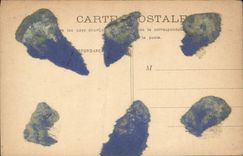 VINTAGE POSTCARD Bordeaux Botanical garden