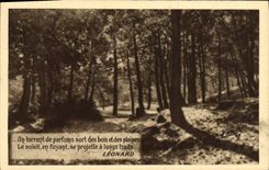 CPA Un Torrent De Parfuns Sort Des Bois Et Des Plaines Leonard