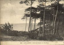 CPA Arcachon Bord Du Bassin Au Moulleau