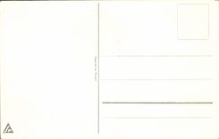 VINTAGE POSTCARD Fantasy Flowers House