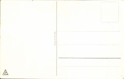 CPA Fantaisie Fleurs Maison