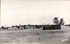 CPM Scenes Et Types Oasis Et Palmeraie