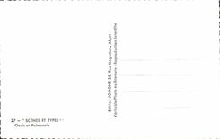 MODERN CARD Scenes And Standard Oases And Palm plantation