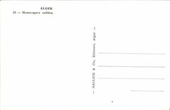 CPM Alger Mauresques Voilees Femmes