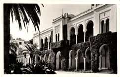 POSTAL MODERNA Argel el paladar del verano de Sr. el gobernador general