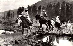 CPM Scenes Types En Route Pour Le Souk Anes