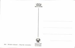 CPM Geneve Le jet d'eau Cygnes