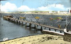 MODERN CARD Pornichet Fishes