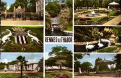 MODERN CARD Rannes the Garden of Thabor