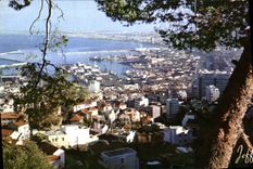 CPM Alger Vue Panoramique