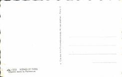 CPM Scenes et types Chemin dans la palmeraie