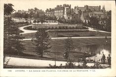 La POSTAL de la VENDIMIA encoleriza el jardín botánico vista del montana