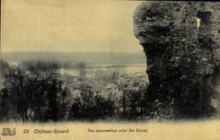 VINTAGE POSTCARD Castle Fox Panoramic View Taken of the Ruins