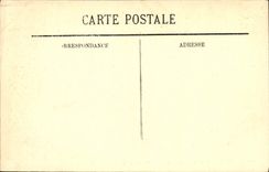 CPA Blois Le Chateau La Facade Gaston d'Orleans