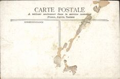 CPA Antilope Cervicapra Inde 