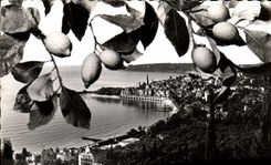 CPM Menton Vue Generale Au fond le Cap Martin