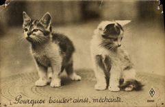 CPA Pourquoi Bouder Ainsi Mechante Chats Chat Chaton 