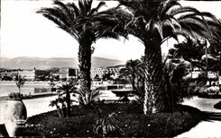 MODERN CARD Cannes Seen on the Hotels Taken Of the Garden Albert 1st