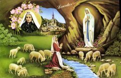 MODERN CARD Heavy the Appearance Sheep