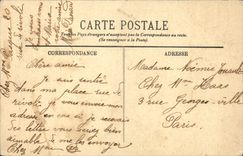 CPA Vichy Un Coin Du Parc Cygne